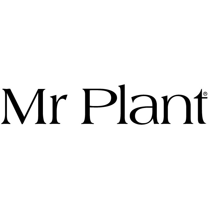 Mr Plant