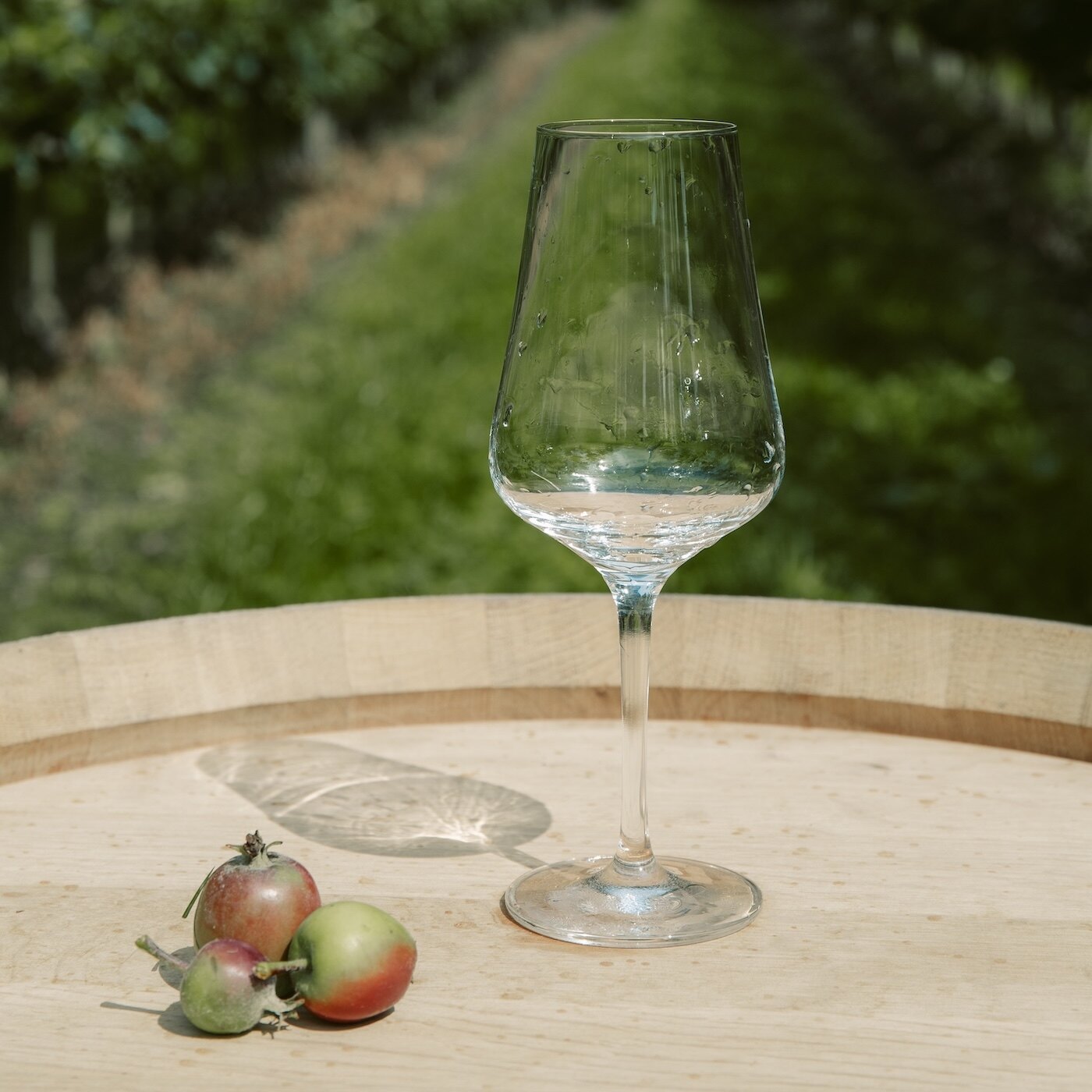 Zwiesel Glas siderglass