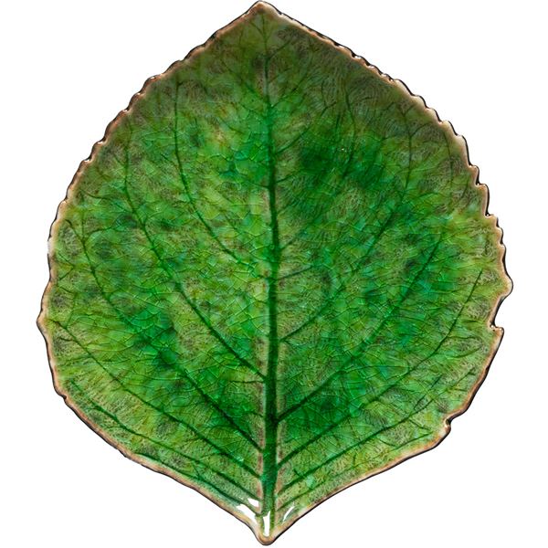 Costa Nova, Asjett hortensiablad Grønn