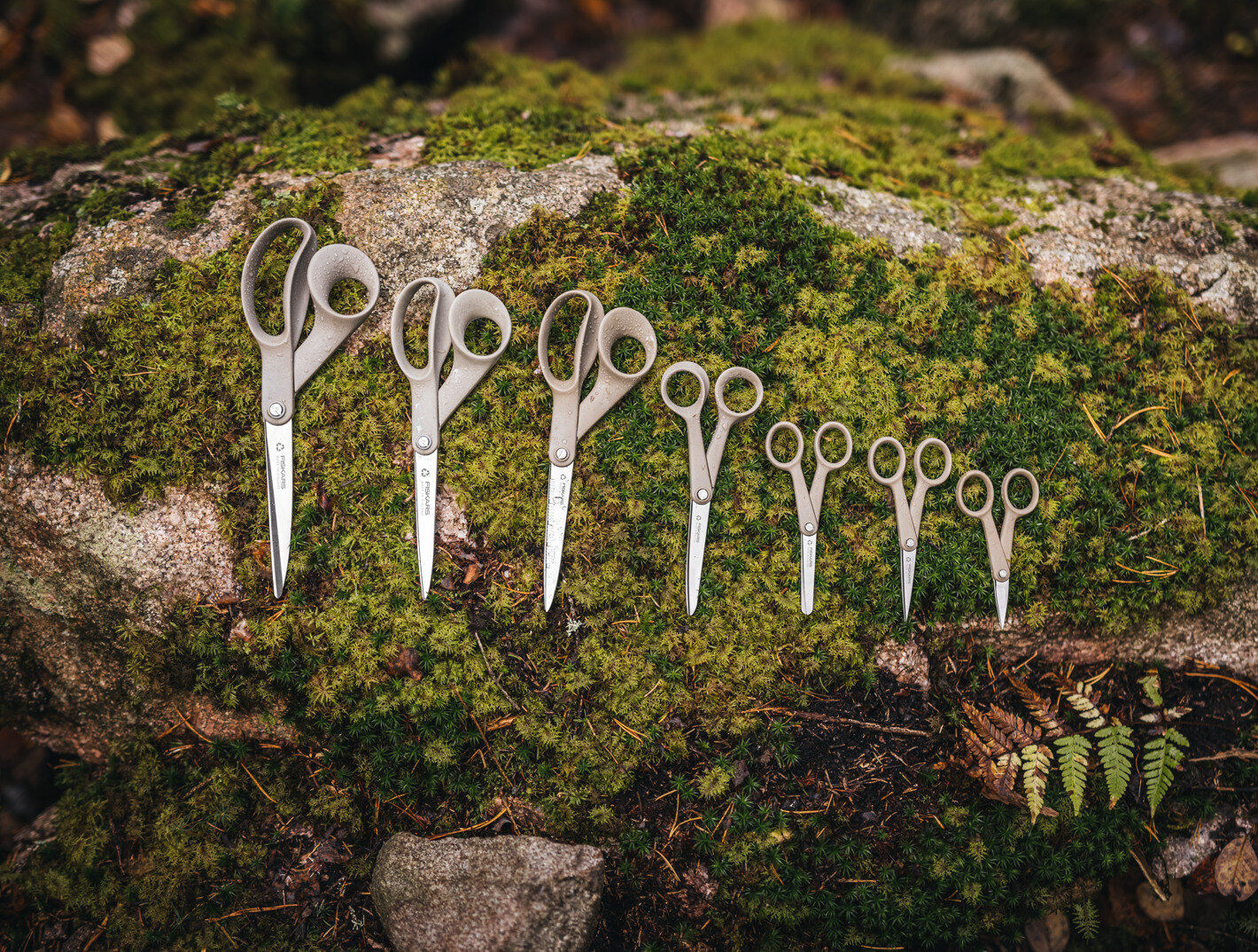 Redegjørelser og formalkrav